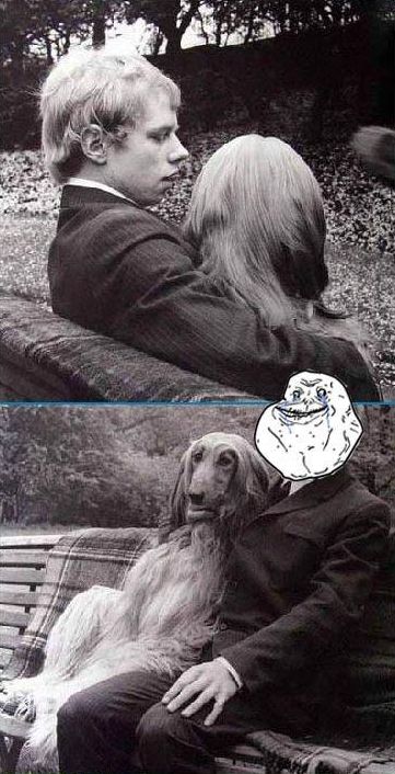 forever alone with a dog