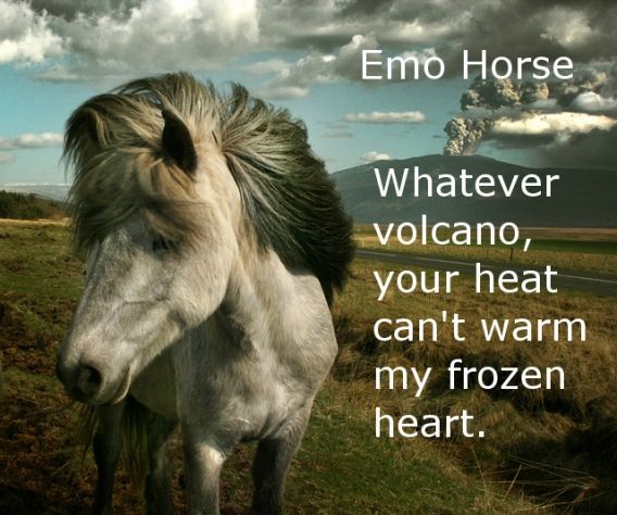 Emo Horse Whatever volcano, your heat can't warm my frozen heart.