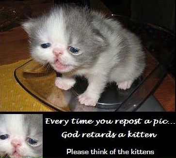 Every time you repost a pic... God retards a kitten Please think of the kittens