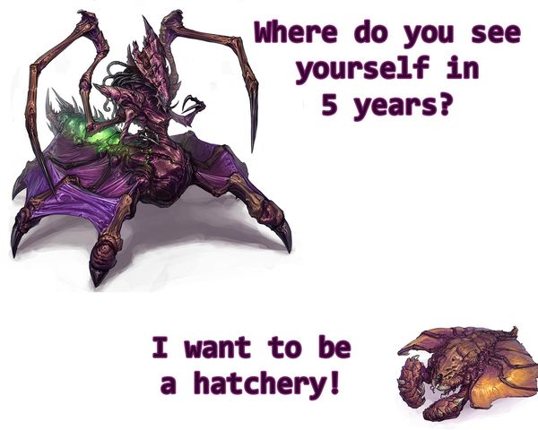 Where do you see yourself in 5 years? I want to be a hatchery
