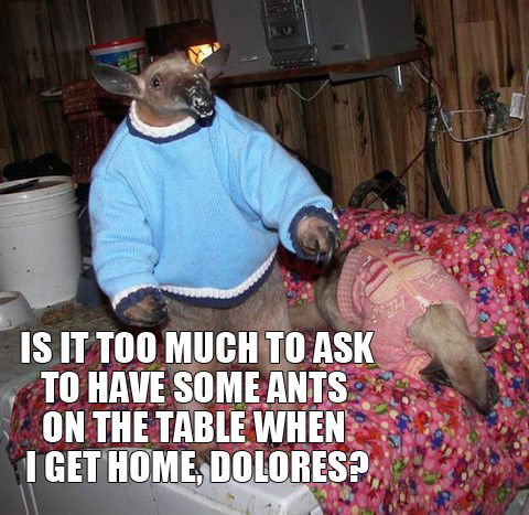 IS IT TOO MUCH TO ASK TO HAVE SOME ANTS ON THE TABLE WHEN I GET HOME, DOLORES?
