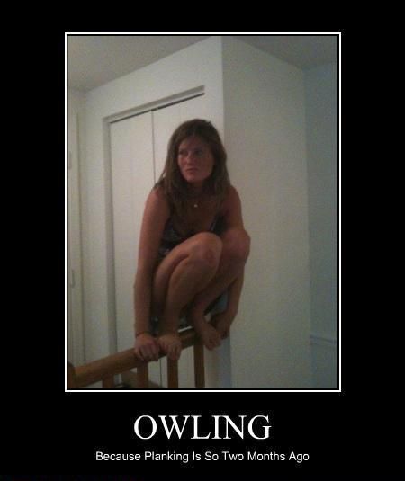 OWLING Because Planking Is So Two Months Ago