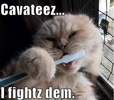 Cavateez...
 I fightz dem.