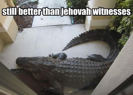 still better than jehovah witnesses