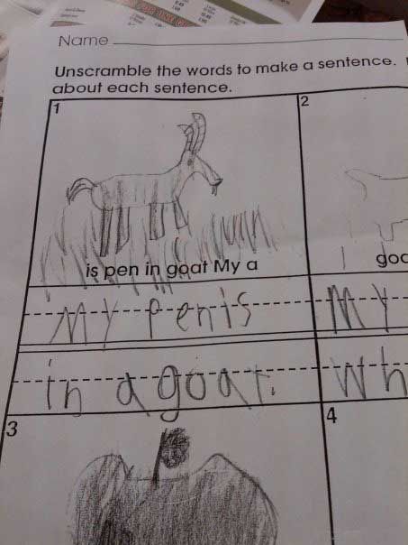 Unscramble the words to make a sentence.
 is pen in goat My a
 My penis in a goat.