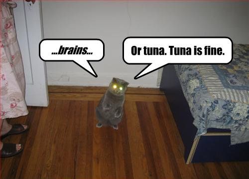 ...brains... Or tuna. Tuna is fine.
