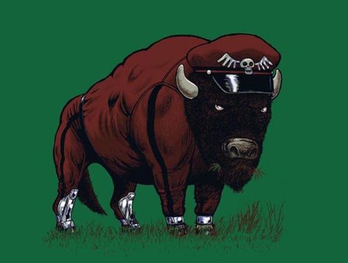 bison