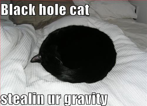 Black hole cat
 stealin ur gravity