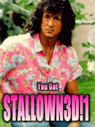 You Got
 STALLOWN3D!1
