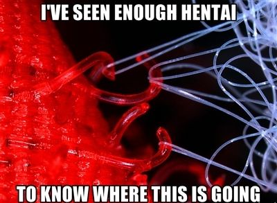I'VE SEEN ENOUGH HENTAI TO KNOW WHERE THIS IS GOING
