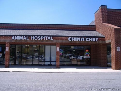 ANIMAL HOSPITAL
 CHINA CHEF