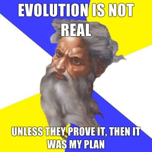 EVOLUTION IS NOT REAL UNLESS THEY PROVE IT, THEN IT WAS MY PLAN