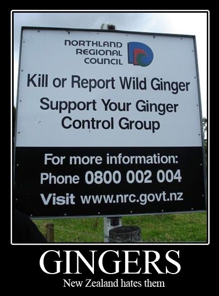 NORTHLAND REGIONAL COUNCIL
 Kill or Report Wild Ginger
 Support Your Ginger Control Group
 GINGERS
 New Zealand hates them