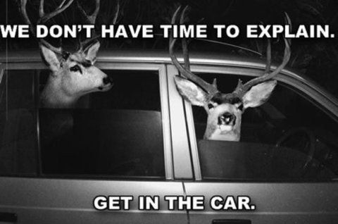 WE DON'T HAVE TIME TO EXPLAIN. GET IN THE CAR.