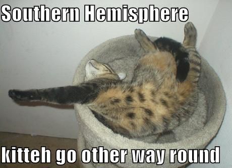 Southern Hemisphere
 kitteh go other way round
