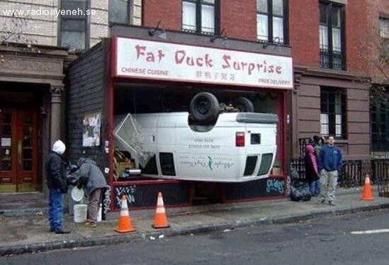 Fat Duck Surprise