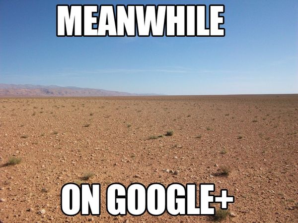 MEANWHILE ON GOOGLE+