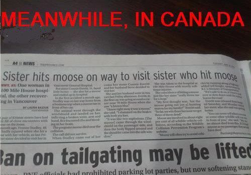 MEANWHILE, IN CANADA
 Sister hits moose on way to visit sister who hit moose