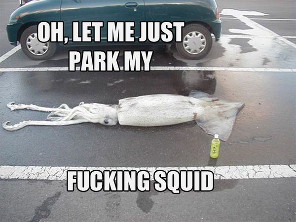OH, LET ME JUST PARK MY
 F✡✞KING SQUID