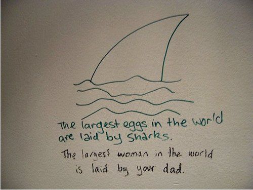 The largest eggs in the world are laid by sharks.
 The largest woman in the world is laid by your dad.