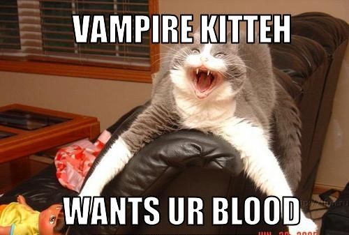 VAMPIRE KITTEH
 WANTS UR BLOOD
