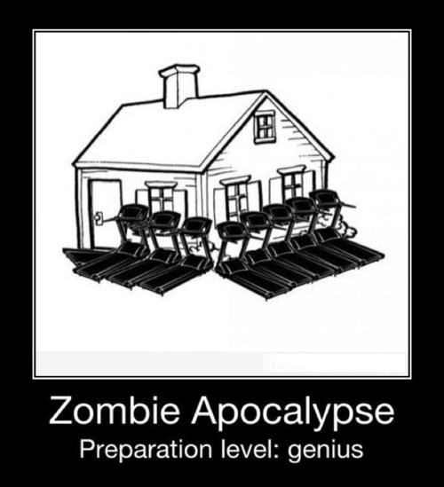 Zombie Apocalypse Preparation level: genius