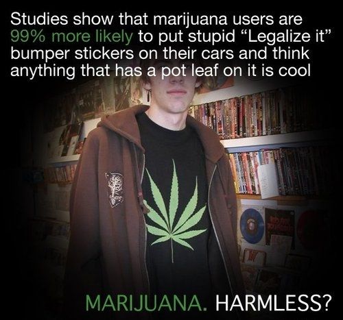 Studies show that marijuana users are 99% more likely to put stupid 'Legalize it' bumper stickers on their cars and think anything that has a pot leaf on it is cool
 MARIJUANA. HARMLESS?