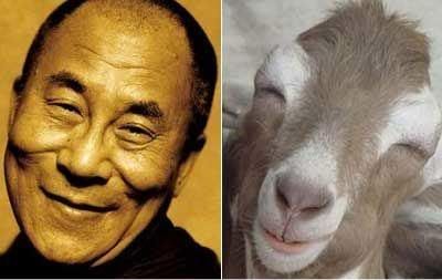 _dalai_lama