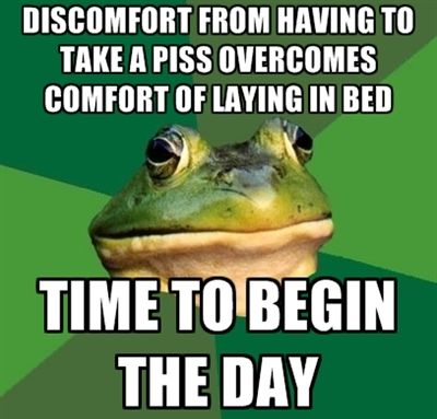 DISCOMFORT FROM HAVING TO TAKE A PISS OVERCOMES COMFORT OF LAYING IN BED TIME TO BEGIN THE DAY