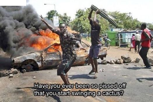 Have you ever been so pissed off that you start swinging a cactus?