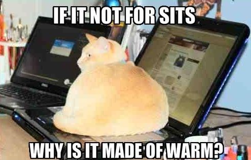 IF IT NOT FOR SITS WHY IS IT MADE OF WARM?