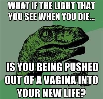WHAT IF THE LIGHT THAT YOU SEE WHEN YOU DIE... IS YOU BEING PUSHED OUT OF A VAGINA INTO YOUR NEW LIFE?
