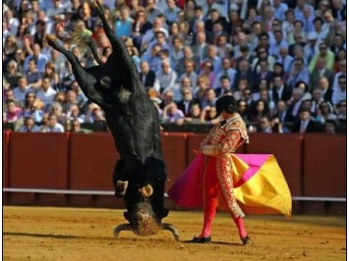 corrida epic win