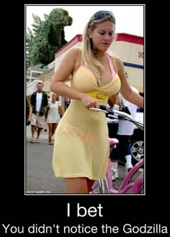 I bet you didn't notice the Godzilla