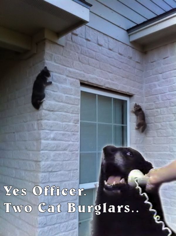 Yes Officer.
 Two Cat Burglars..
