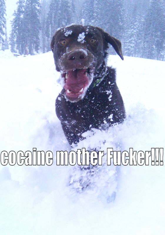cocaine mother F✡✞ker!!!