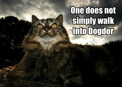 One does not simply walk into Dogdor