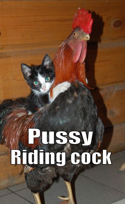 Pussy riding lollipop