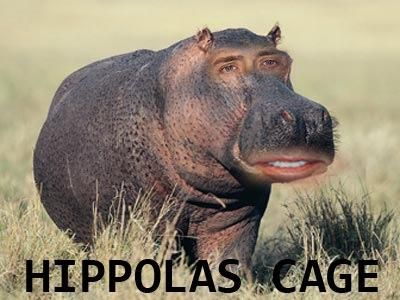 HIPPOLAS CAGE