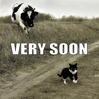 VERY SOON
