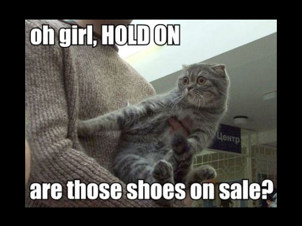 oh girl, HOLD ON
 are those shoes on sale?