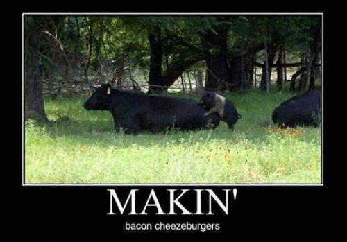 MAKIN' bacon cheeseburgers