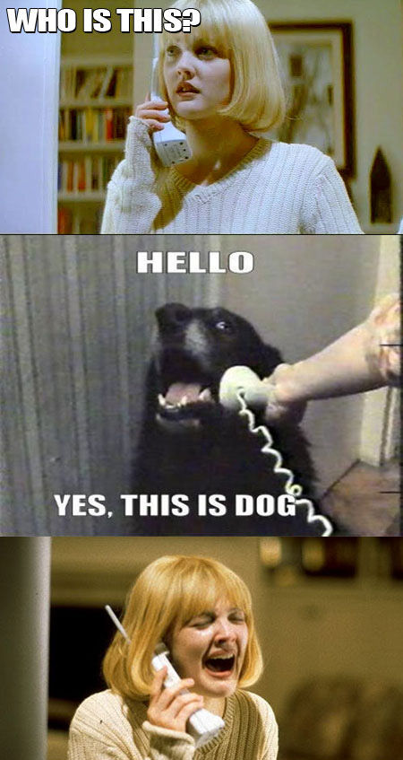 WHO IS THIS? HELLO YES, THIS IS DOG