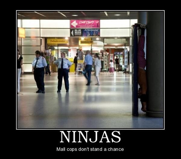 NINJAS Mall cops don't stand a chance