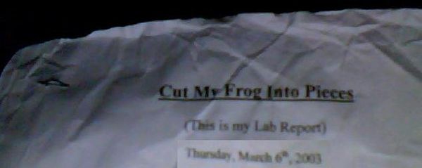 Cut My Frog Into Pieces
 (This is my Lab Report)
