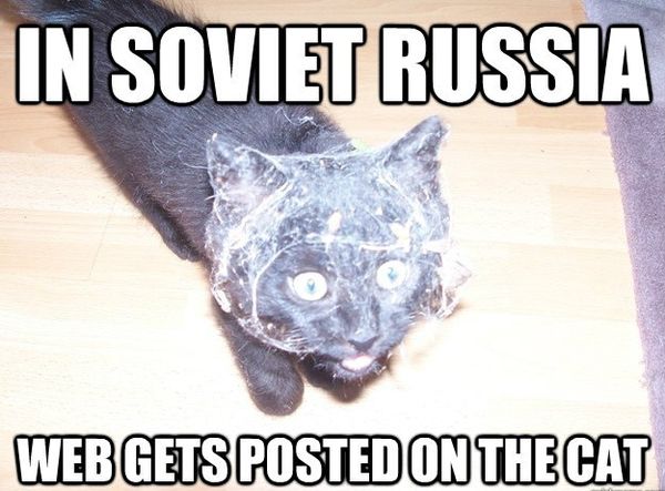 IN SOVIET RUSSIA
 WEB GETS POSTED ON THE CAT
