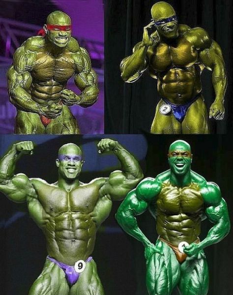 mutant ninja turtle bodybuilder