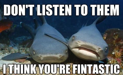 DON'T LISTEN TO THEM I THINK YOU'RE FINTASTIC