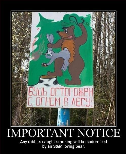 IMPORTANT NOTICE Any rabbits caught smoking will be sodomized by an S&M loving bear.