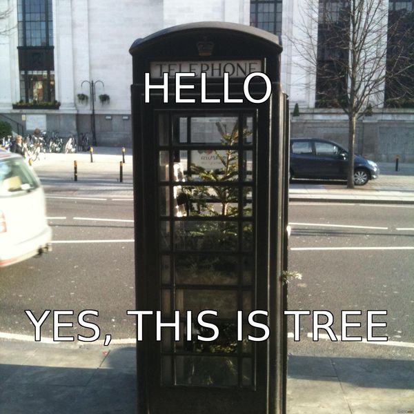HELLO
 YES, THIS IS TREE